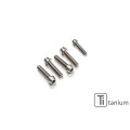 CNC Racing Titanium Upper Triple Clamp Bolt Kit for PST11B - Ducati Monster 1200 R (2016+) and 1200 / S (2017+) CNC Racing Titanium Upper Triple Clamp Bolt Kit for PST11B - Ducati Monster 1200 R (2016+) and 1200 / S (2017+)